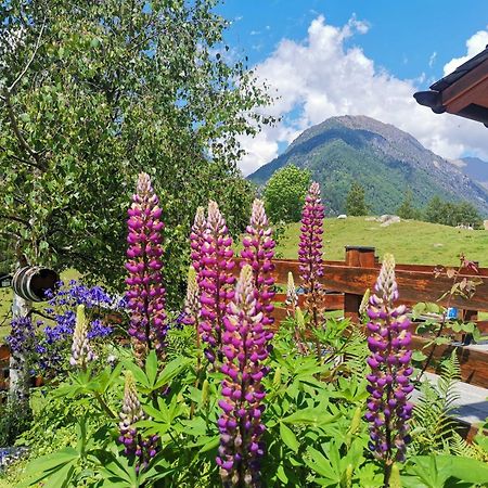 Baita Carnale, Montagna In Valtellina Appartement Ca' Pavadri Buitenkant foto