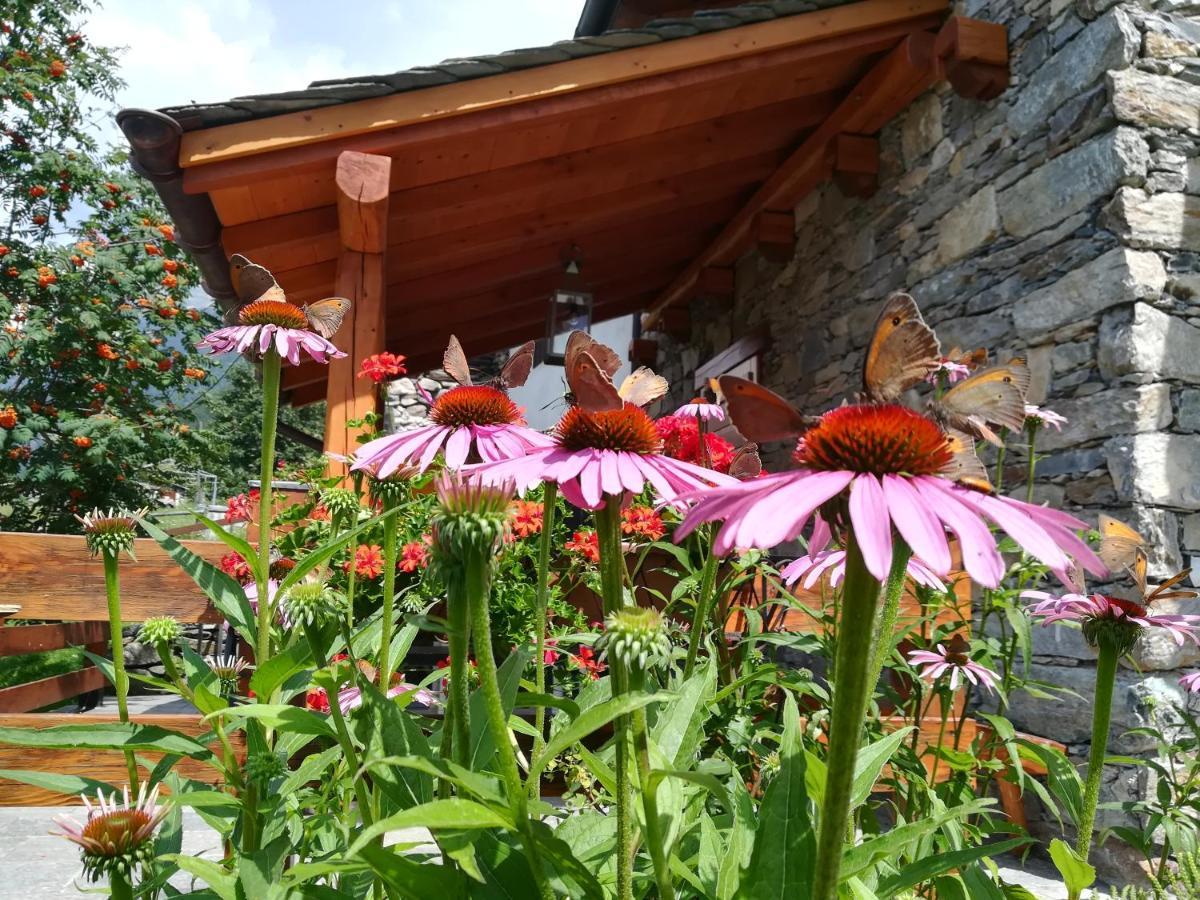 Baita Carnale, Montagna In Valtellina Appartement Ca' Pavadri Buitenkant foto