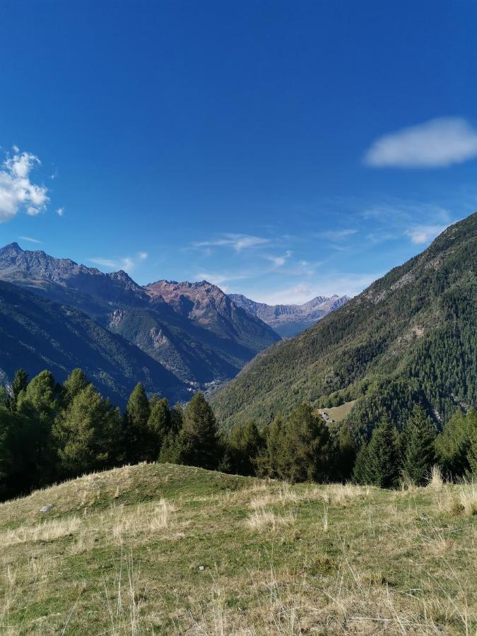 Baita Carnale, Montagna In Valtellina Appartement Ca' Pavadri Buitenkant foto