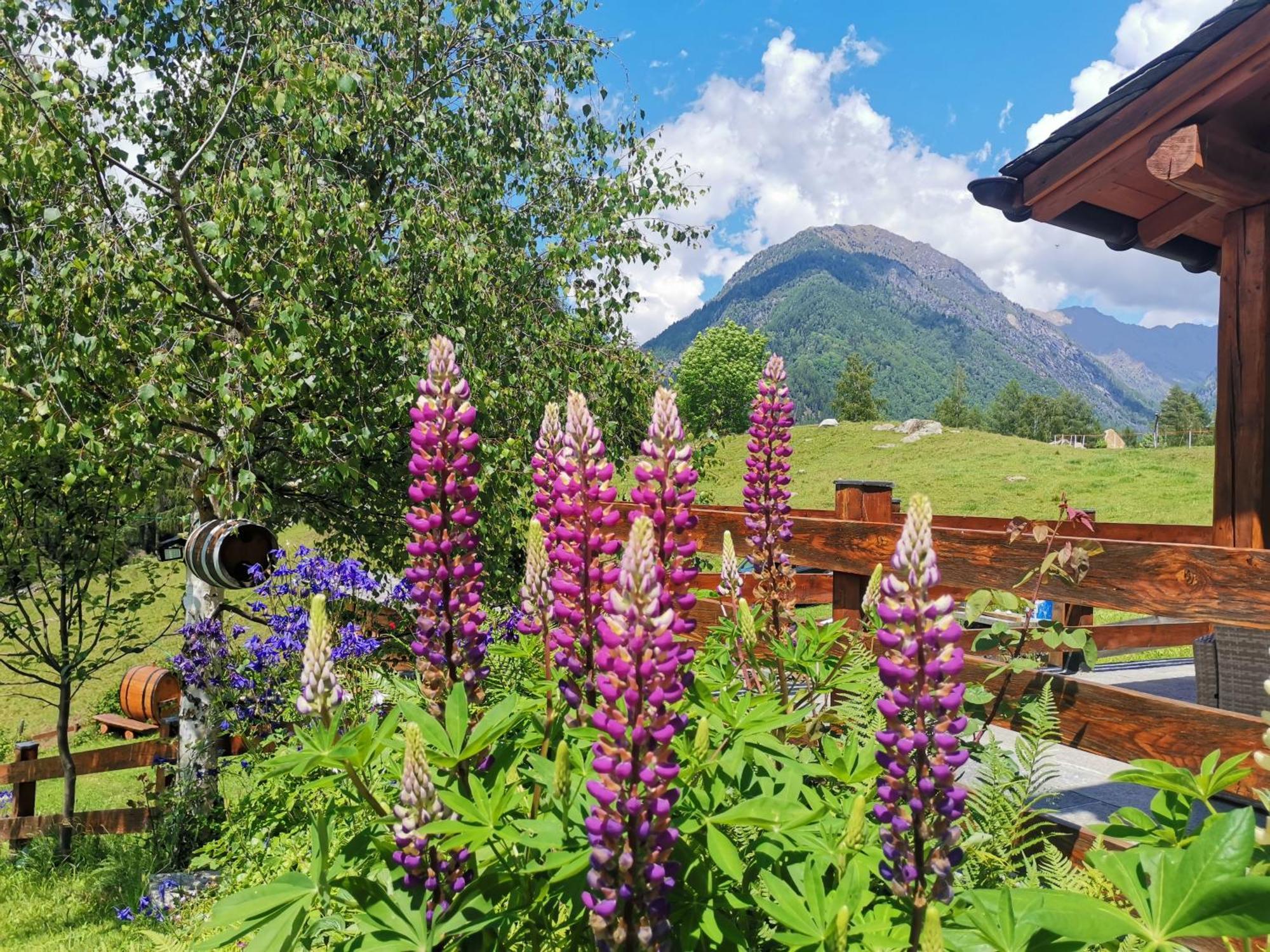 Baita Carnale, Montagna In Valtellina Appartement Ca' Pavadri Buitenkant foto