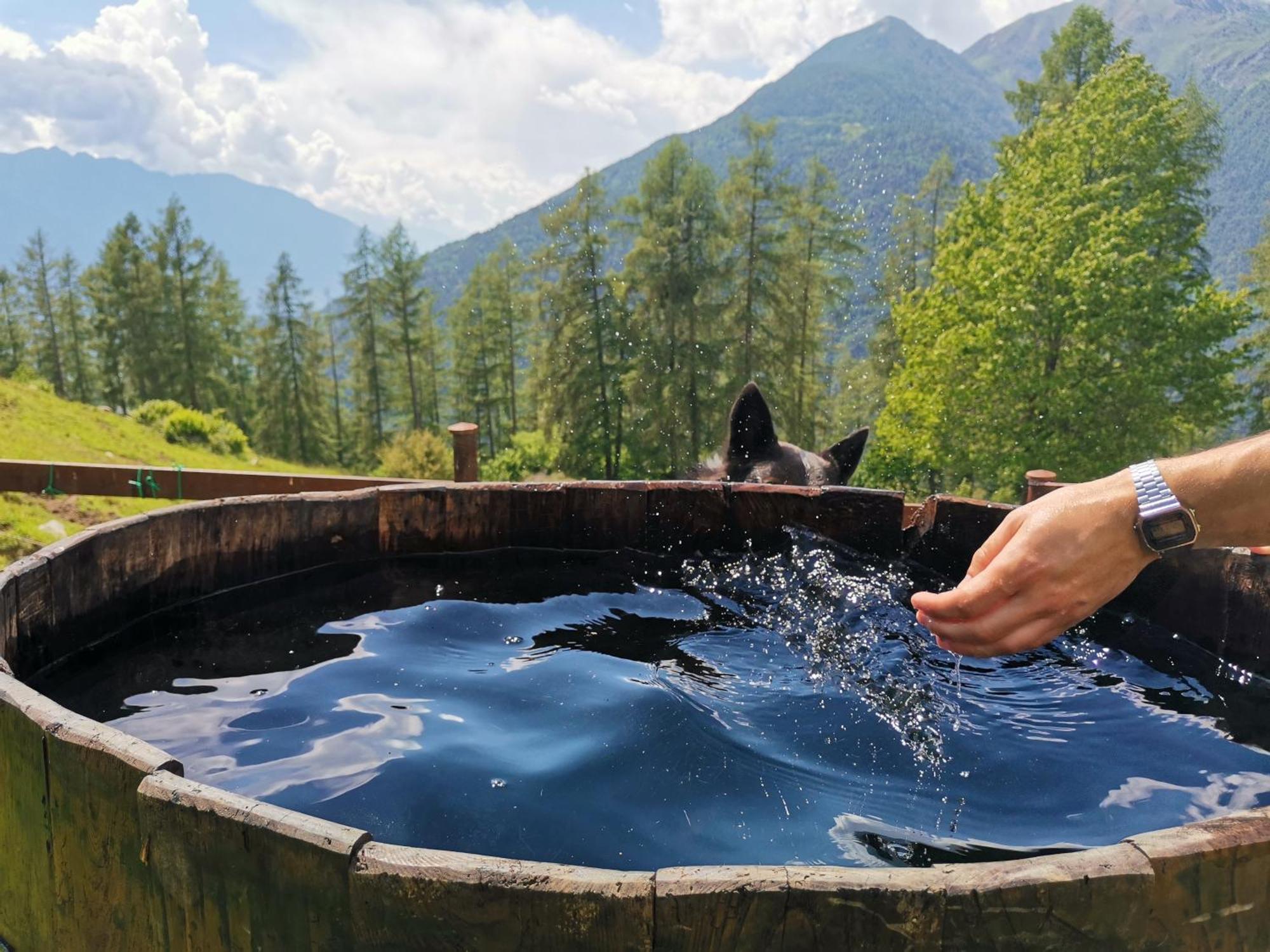 Baita Carnale, Montagna In Valtellina Appartement Ca' Pavadri Buitenkant foto