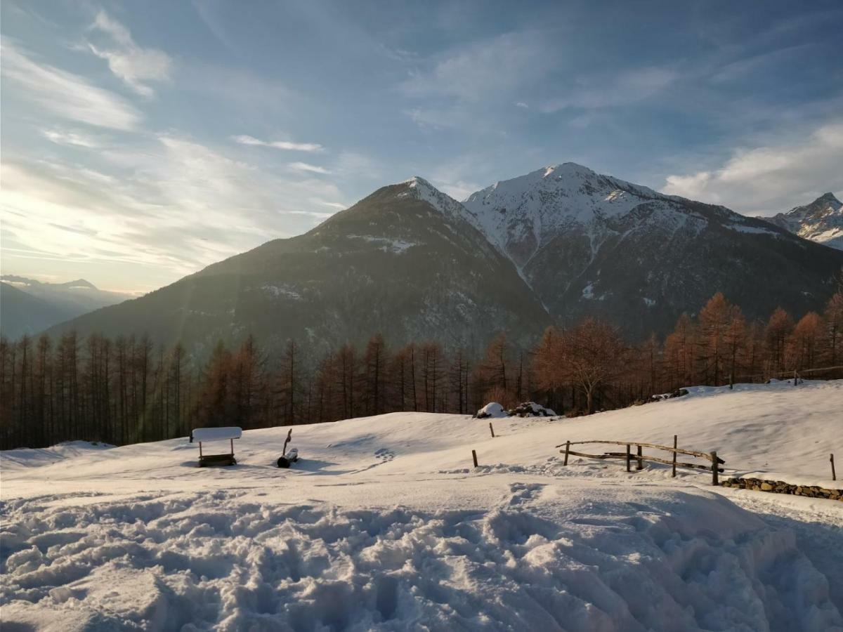 Baita Carnale, Montagna In Valtellina Appartement Ca' Pavadri Buitenkant foto