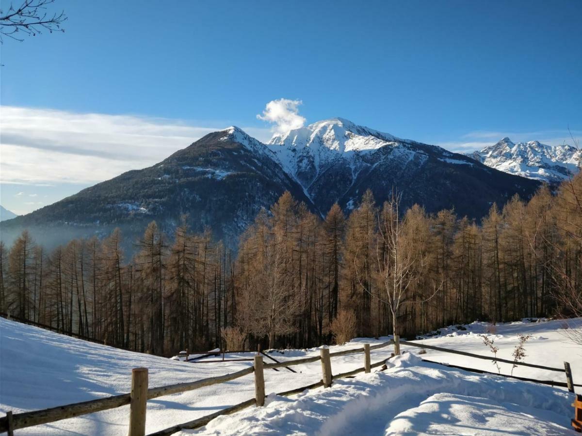 Baita Carnale, Montagna In Valtellina Appartement Ca' Pavadri Buitenkant foto