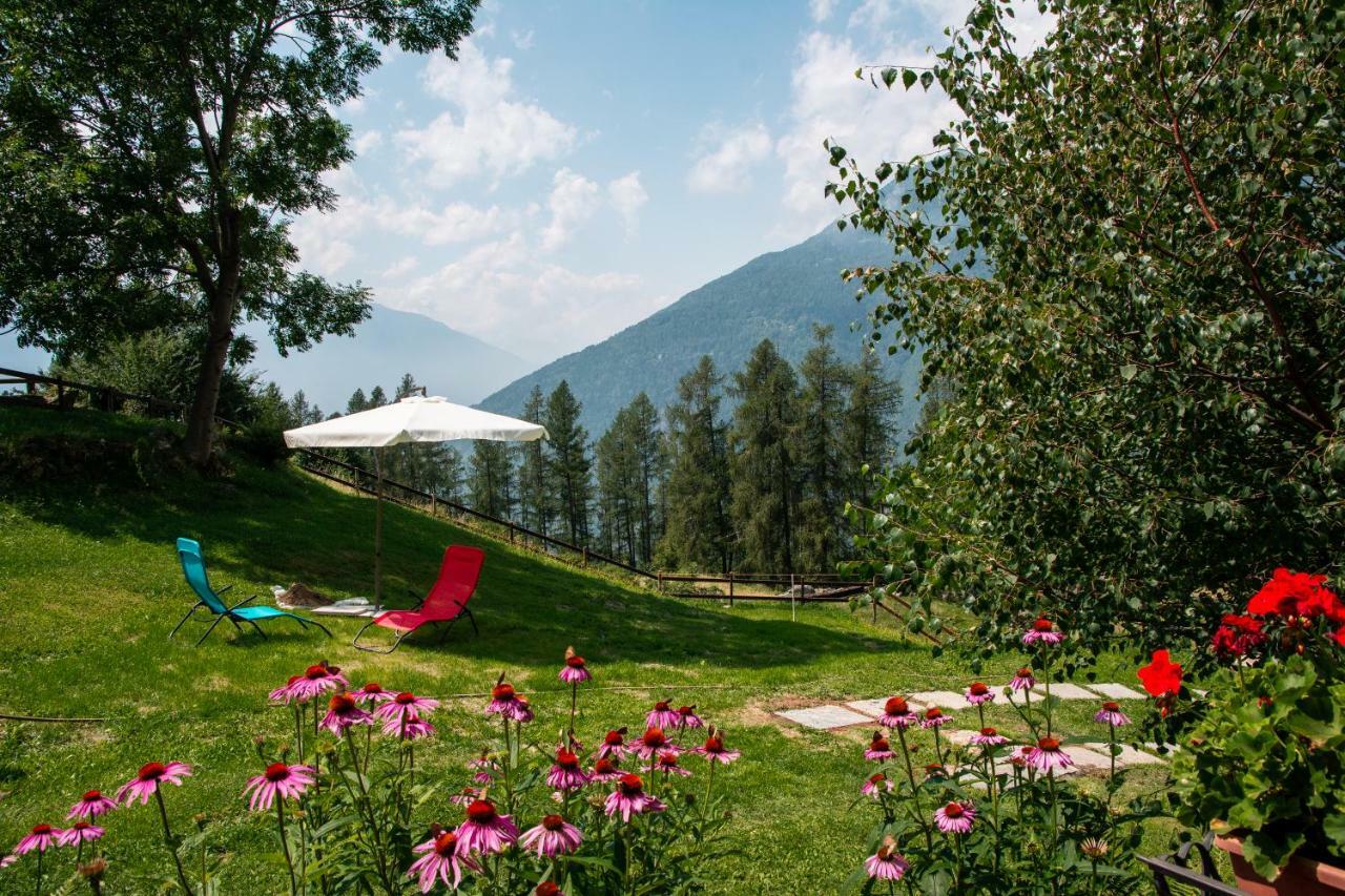 Baita Carnale, Montagna In Valtellina Appartement Ca' Pavadri Buitenkant foto